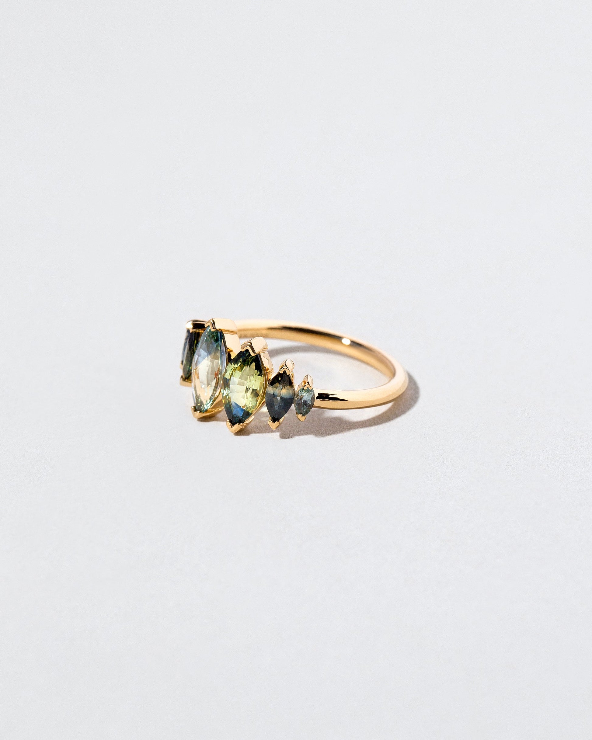  Llyn Ring on light color background.