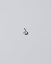 Silver garlic charm on light colored background