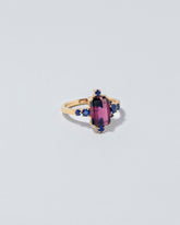 Pinnacles Ring on light colored background.
