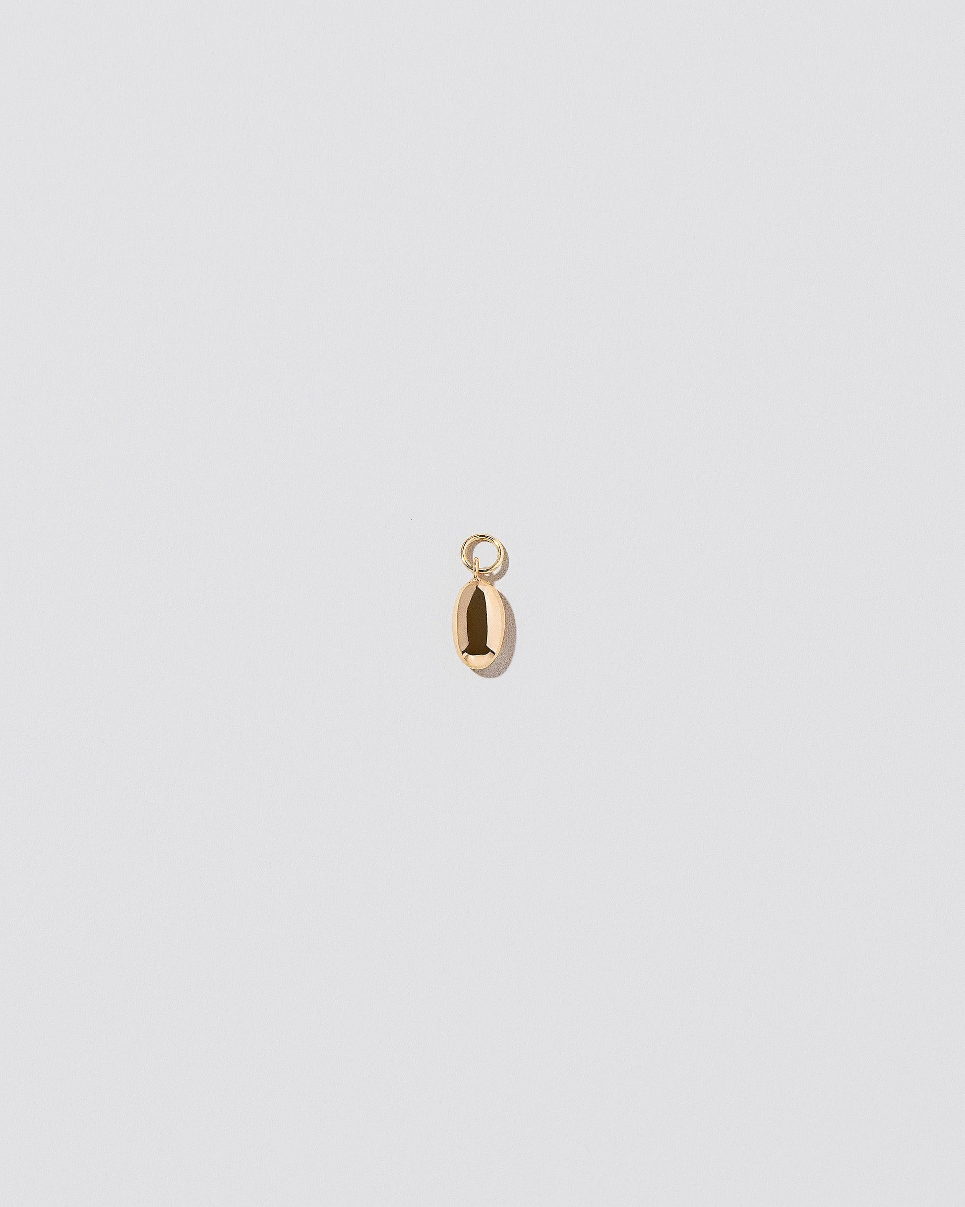 Product photo of Time Capsule charm on a light color background