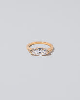 Fins Ring on light color background.