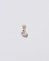 Cauliflower Charm on light color background.