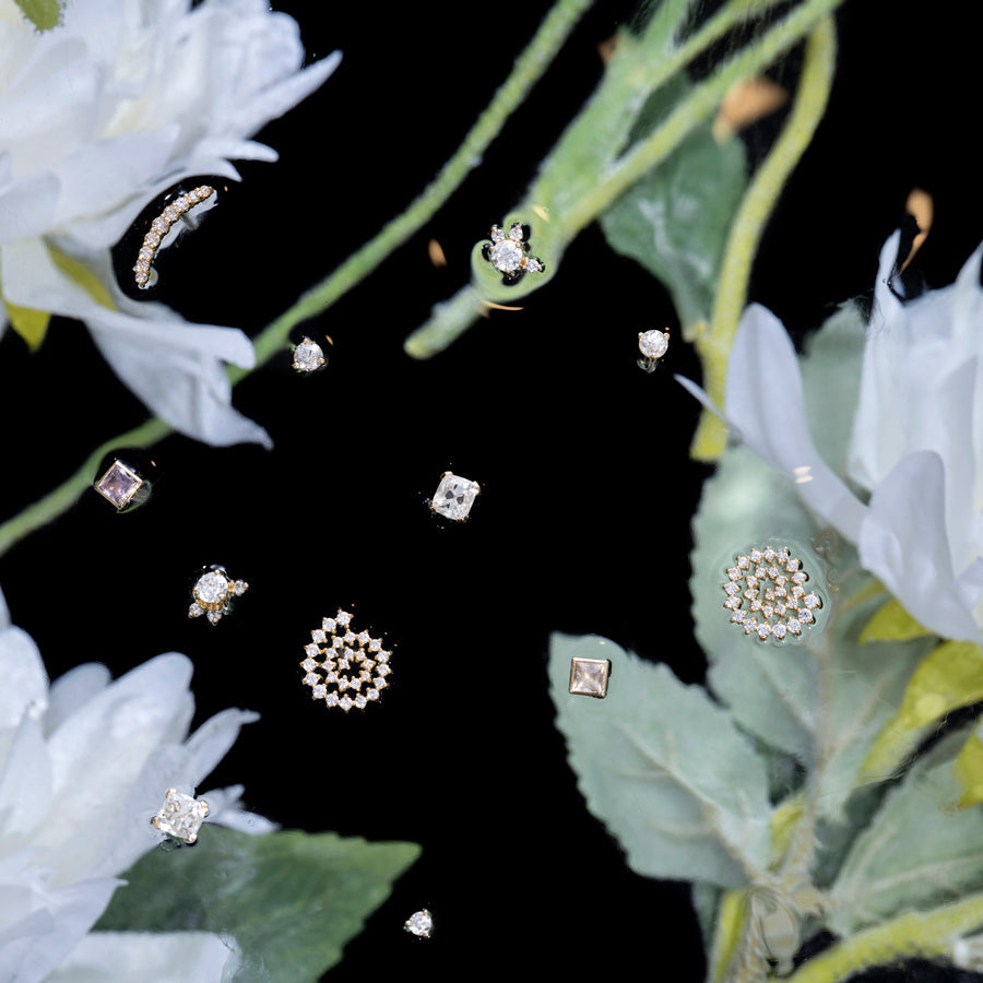product_details::Styled photo featuring Dicot Earrings