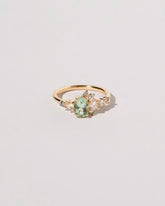  Arbor Ring on light color background.