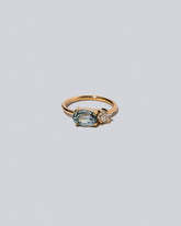 Product photo of Lupine Ring on a light color background 