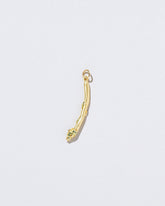  Asparagus Charm on light color background.