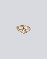 Tendu Ring on light color background.
