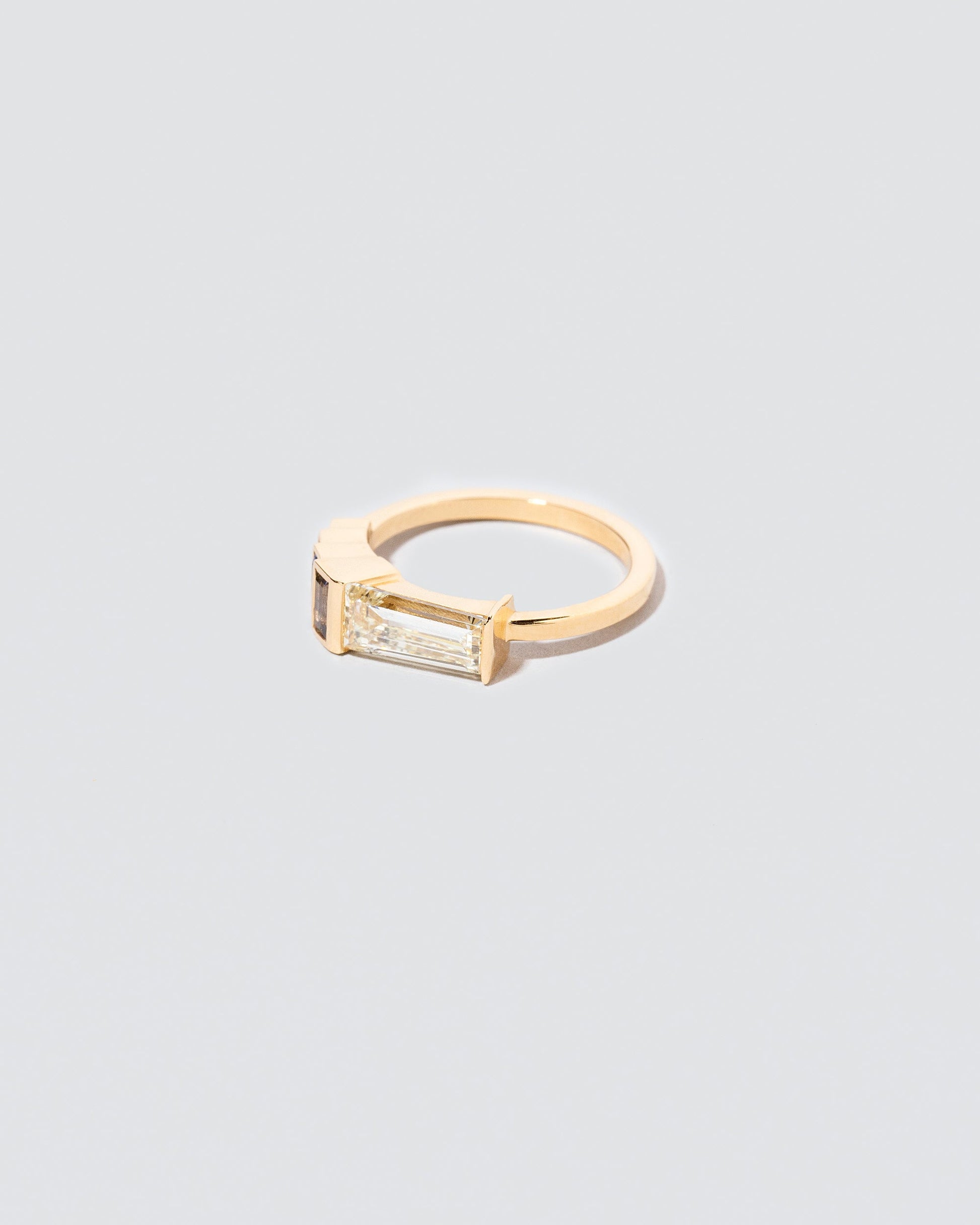  Earth Ring on light color background.