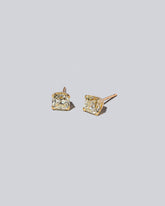 Ardor Earringss on light color background.