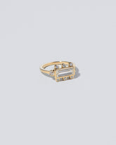  Panorama Ring on light color background.