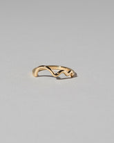 Squiggle Band - Solid on light color background.