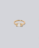 Grouper Ring on light color background.