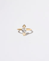 Parabola Ring on light color background.
