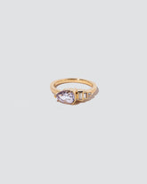  Fixation Ring on light color background.