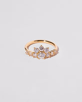  Cordillera Ring on light color background.