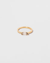 Ergodic Ring on light color background.