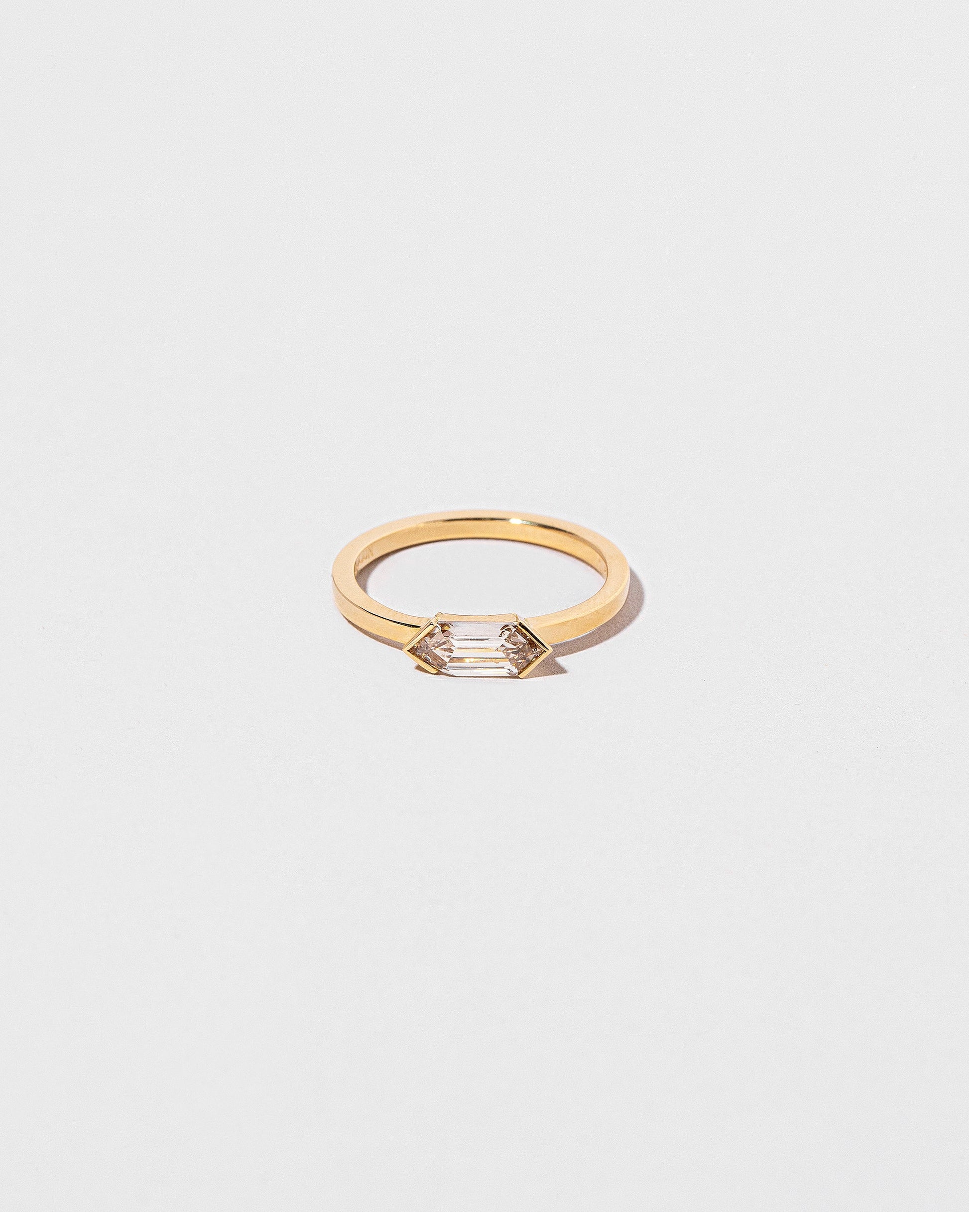 Ergodic Ring on light color background.