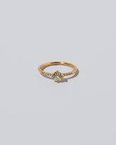 Compass Rose Ring on light colored background.
