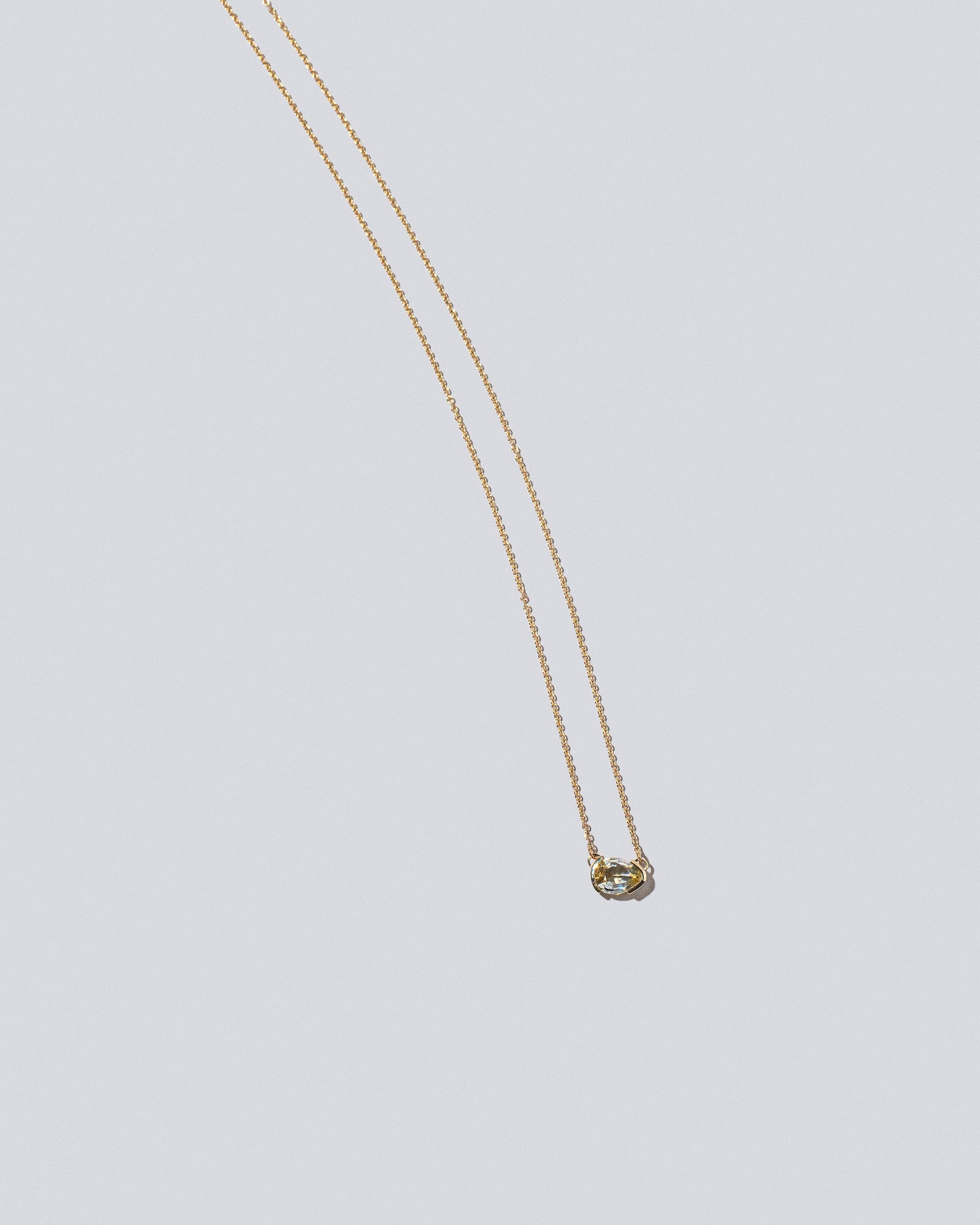 Guppy Necklace on light color background.