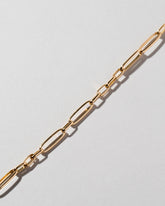  Long Loop Chain Necklace on light color background.