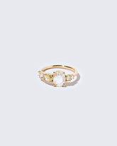  Roses Ring on light color background.