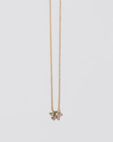  Apposition Necklace on light color background.