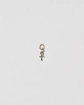  Ankh Charm on light color background.