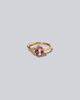 Product photo of Wren Ring on a light color background 