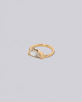 View from the side of the Tenor Ring on light color background.