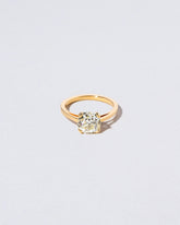 Purna Ring on light color background.