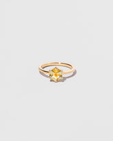 Aeglos Ring on light color background.