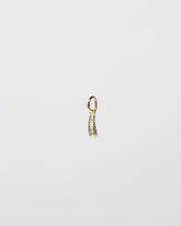  Pickle Charm on light color background.