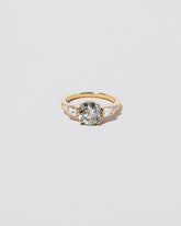  Fisher Ring on light color background.