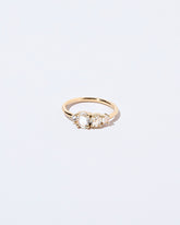 Garden Ring on light color background.