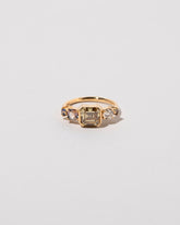  Probus Ring on light color background.