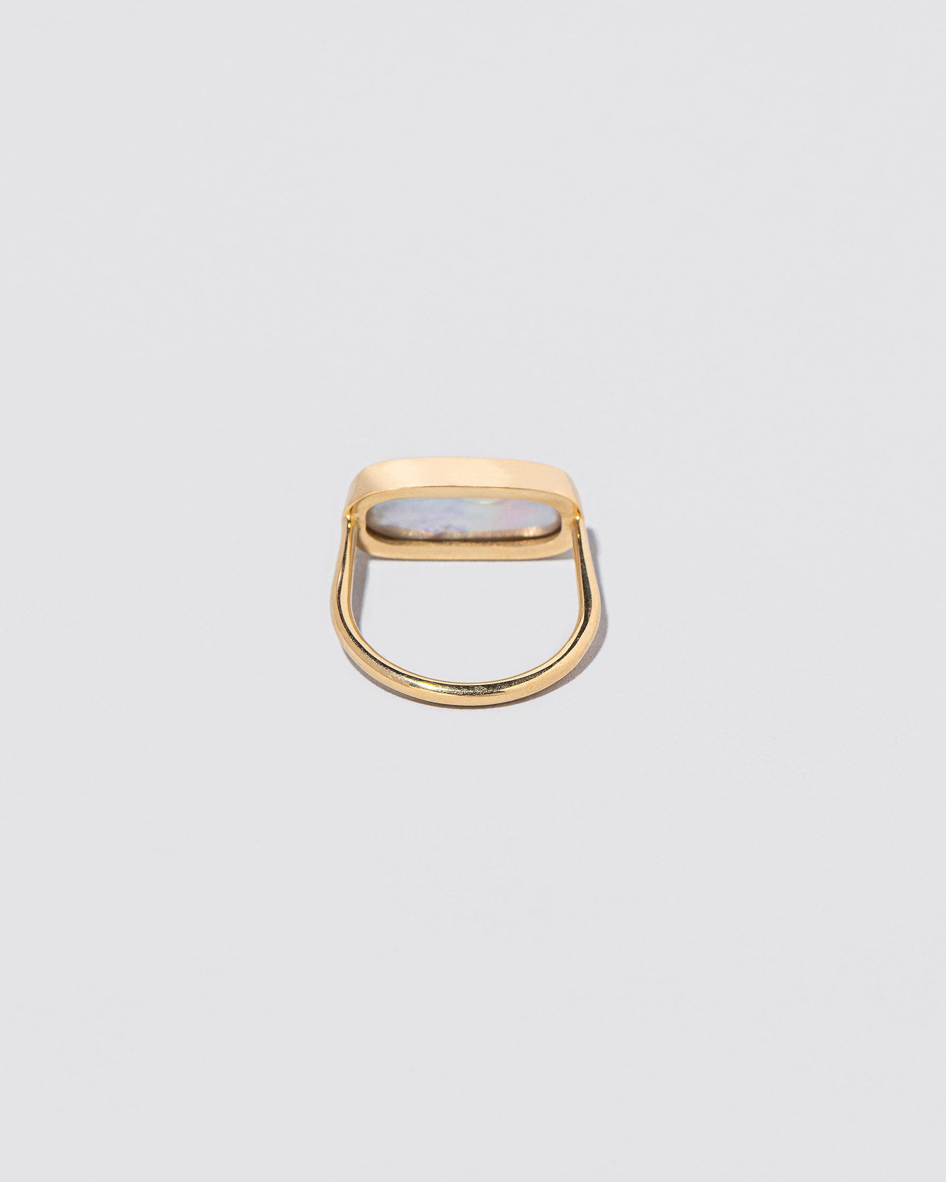 View from the back of the Antaeus Ring on light color background.