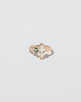  Parks Ring on light color background.