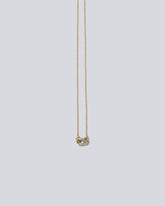 Guppy Necklace on light color background.