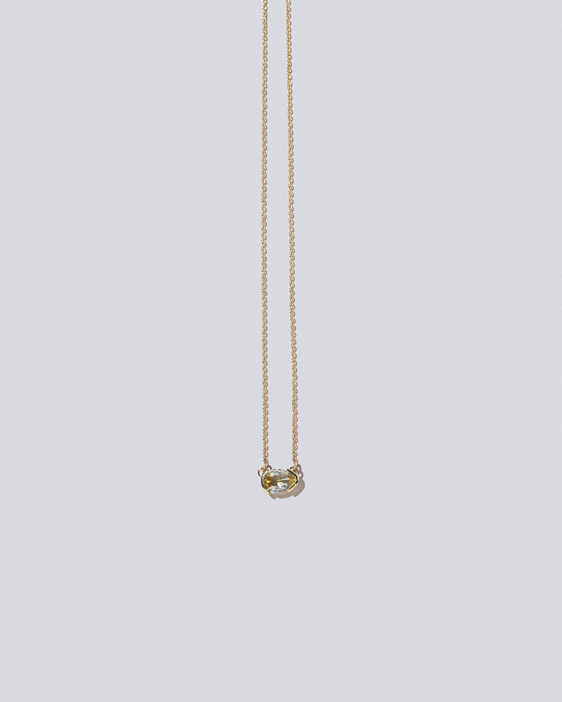 Guppy Necklace on light color background.