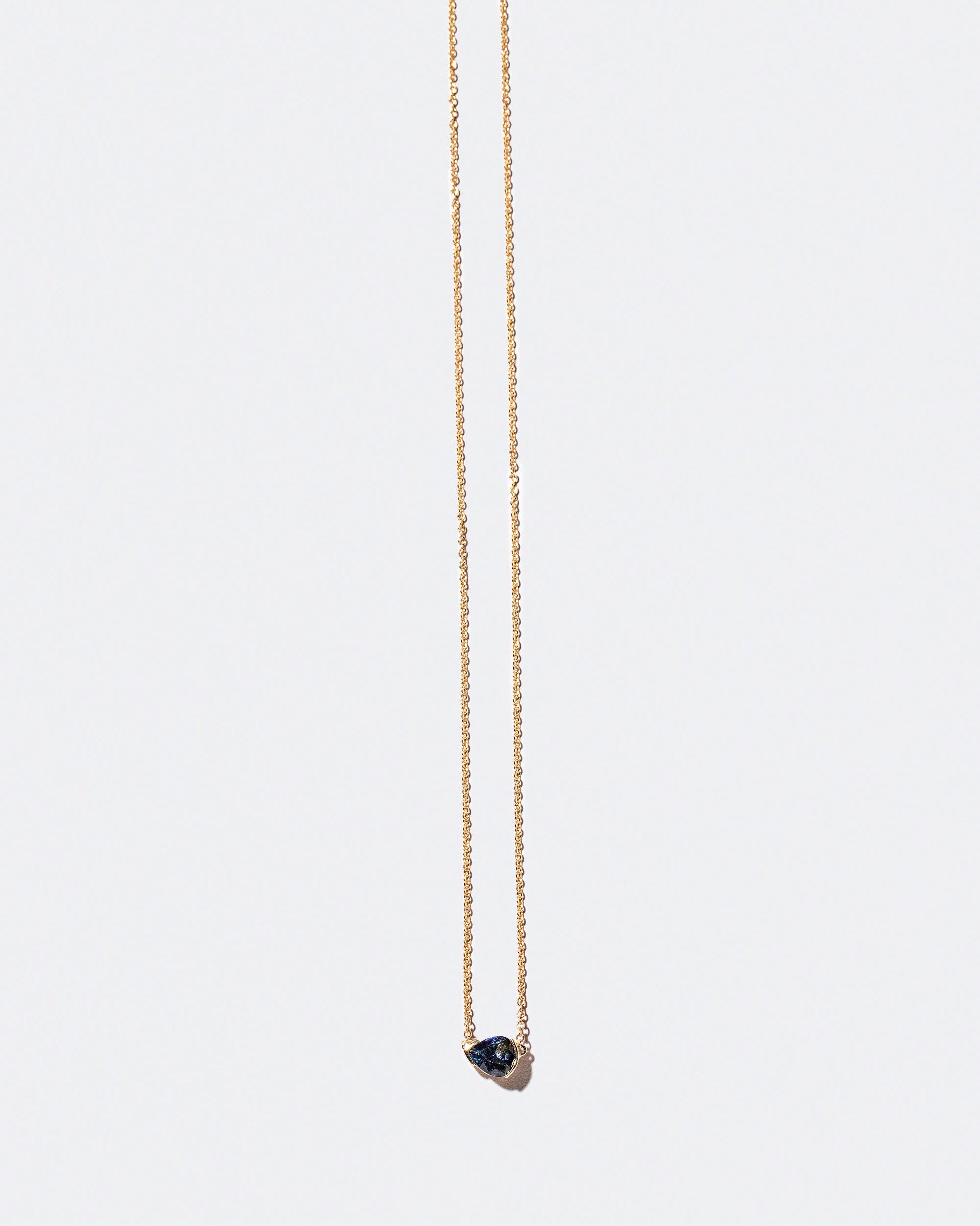 Product photo of Scale Necklace on a light color background 