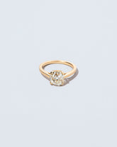 Ichor Ring on light color background.