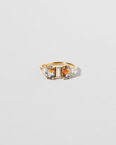  Castor & Pollux Ring on light color background.