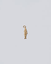 Fish Charm on light color background.