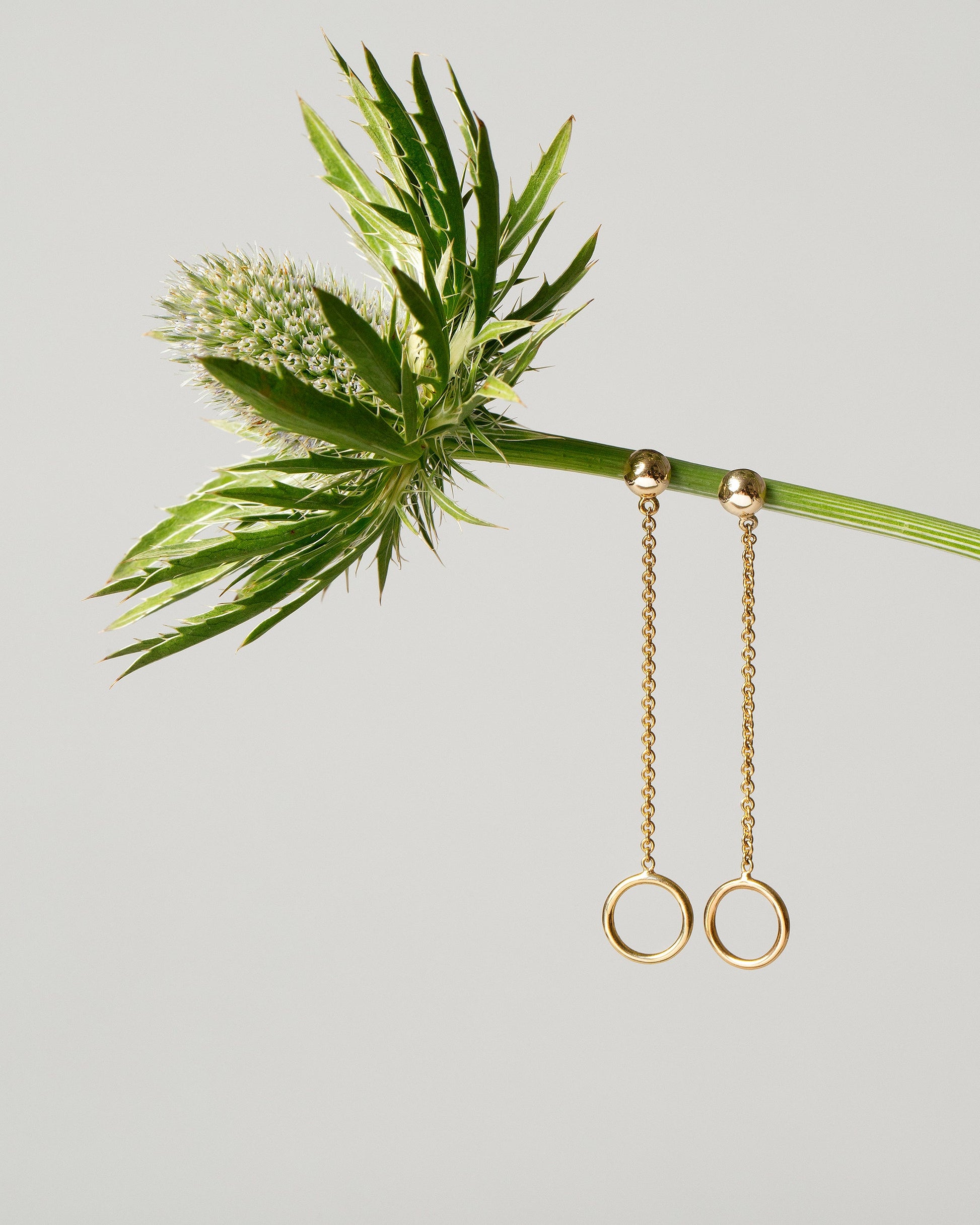  Act 2. Earrings 2 on light color background.