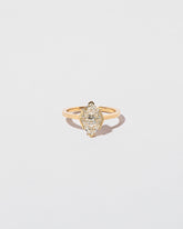 Parallel Universe Ring on light color background.
