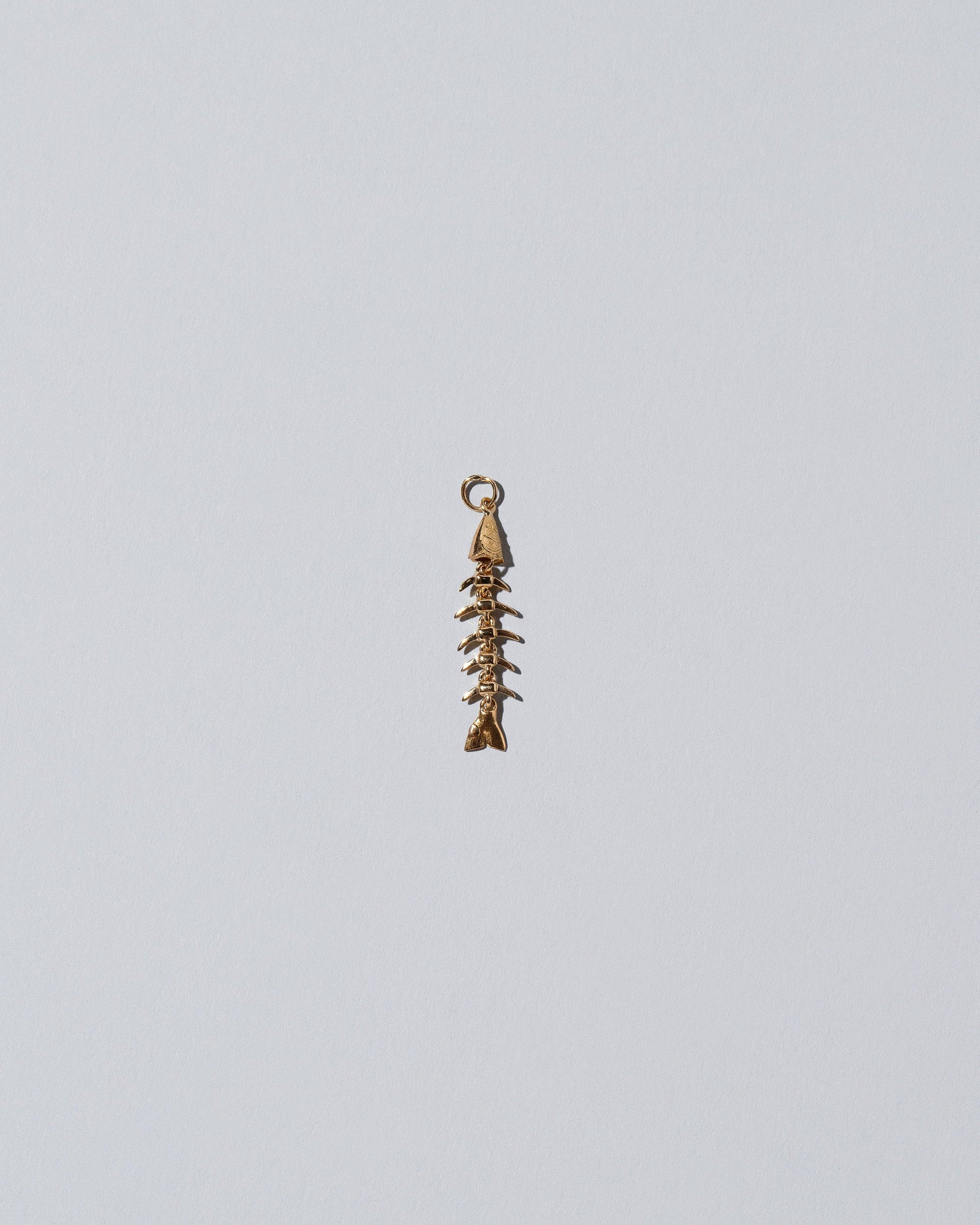 Skeletal Fish Charm on light color background.