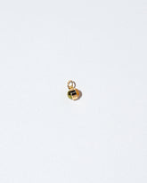  Birthstone Charm on light color background.