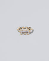  Panorama Ring on light color background.