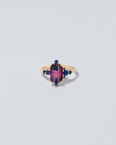Pinnacles Ring on light colored background.