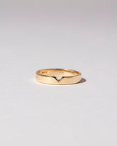  Triangle Notch Band - 4mm on light color background.